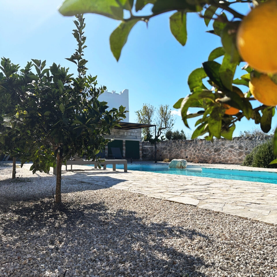 Oranges and citrus fruits surround the blue 13m long pool